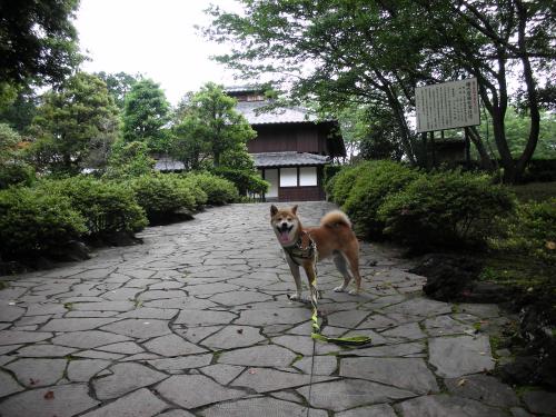公園3