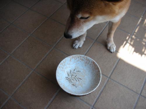 からっぽ