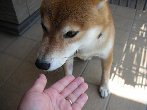 もう、おしまい?