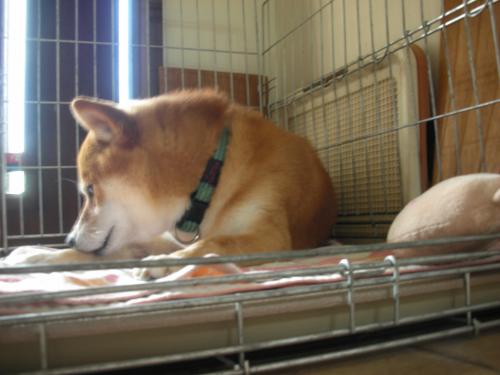 落ち着く1