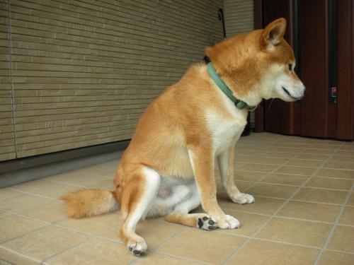 どっこいしょ