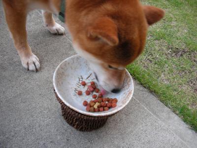 また、食べる