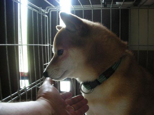 いやな予感