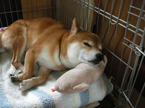 つまらない1