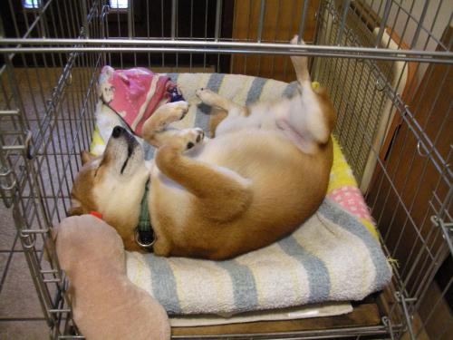 まだ眠いですよ