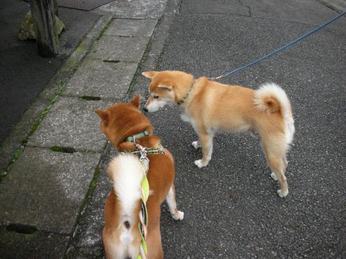 どこ行く?