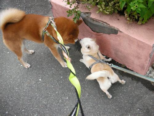 確認