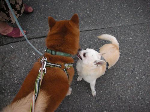 指導