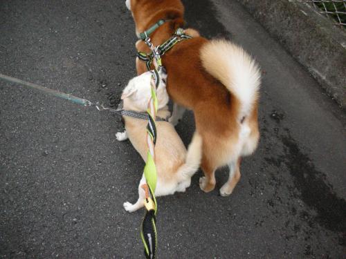 おまえデカすぎ