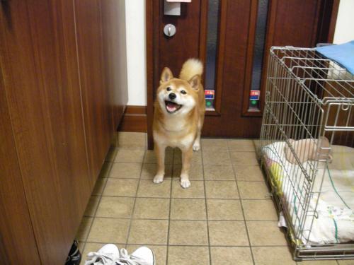 たいへんです