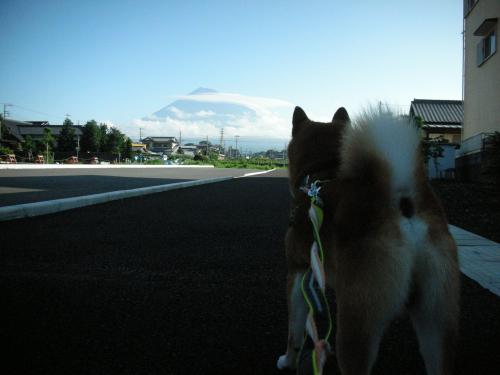 朝の富士山