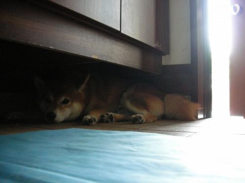 なぜ?
