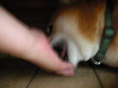 やだ~