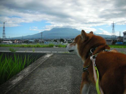 富士山1