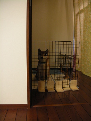よく見える