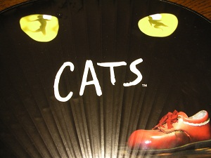CATS YOKOHAMA