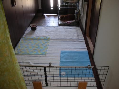 桜太部屋