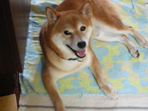 なんですか?