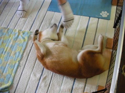 遊ぶ