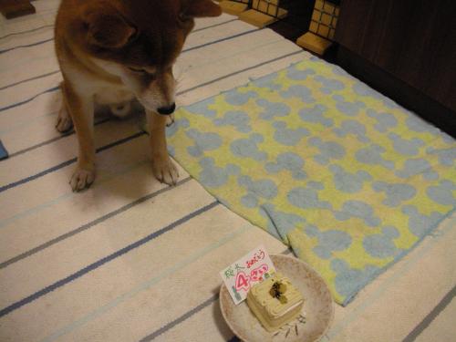 まだですか?