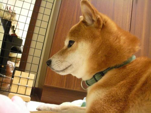 近い