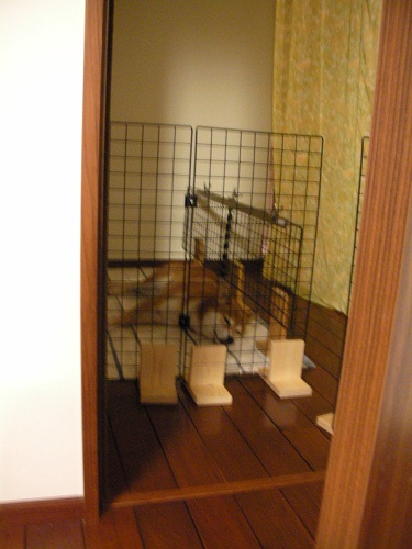 ここにいるよ