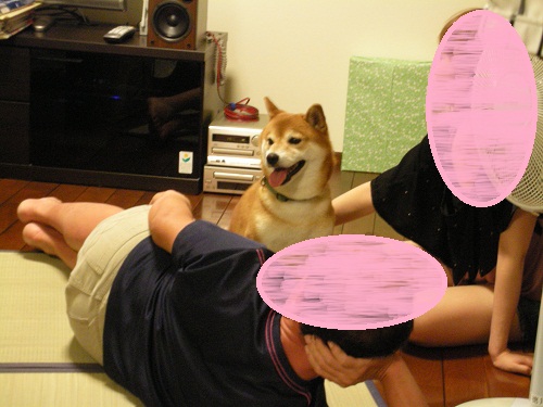あらあら?