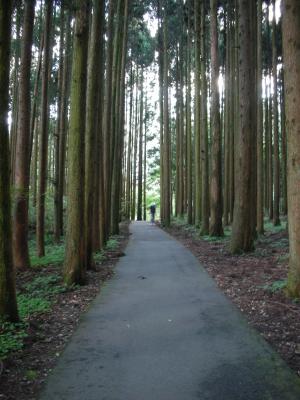 田貫湖7