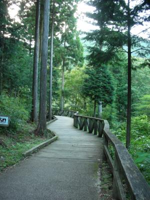 田貫湖10