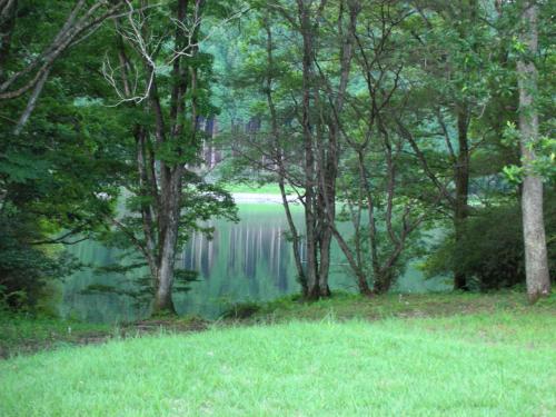 田貫湖11