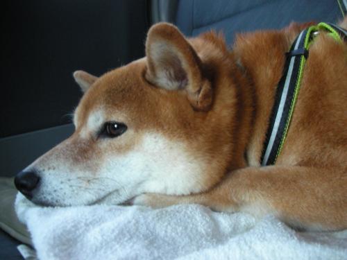 眠い