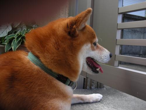 探す