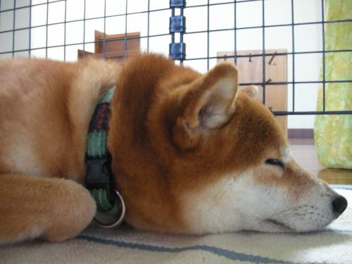 疲れた~