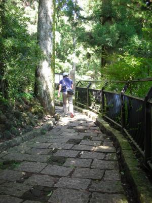 湖畔の遊歩道