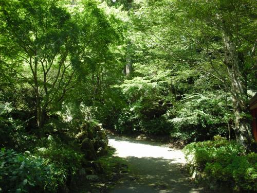 湖畔の遊歩道