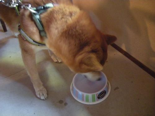 お水をいただく