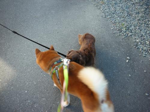 お久しぶり