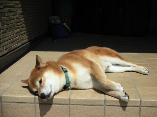 日光浴