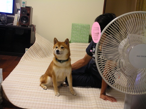 マッサ-ジ