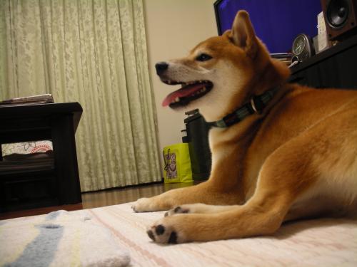 くつろぐ
