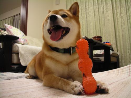 ごきげん