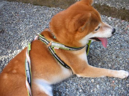 一休み