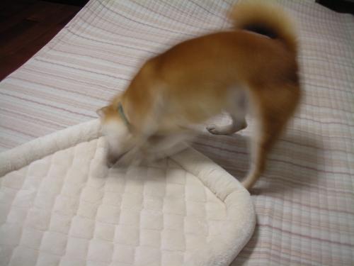 ひたすら掘る