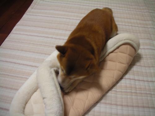 こうしてやる