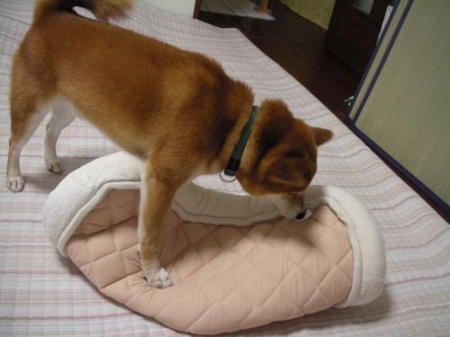 これでもか