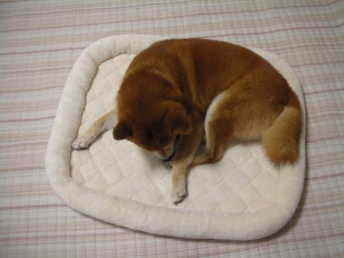 これでよし