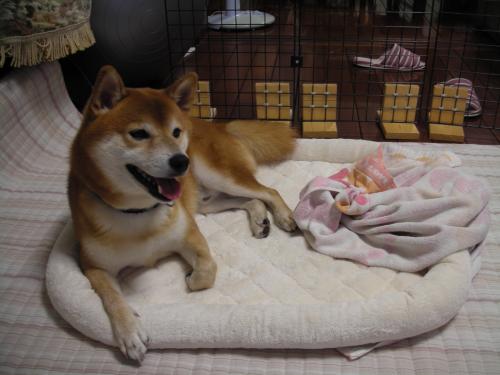これでよし