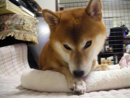 ふかふか