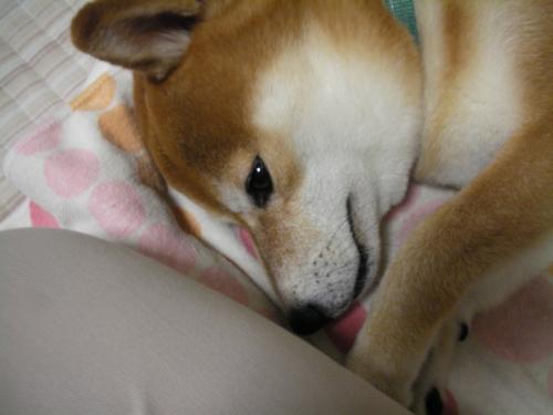 かあさ~ん