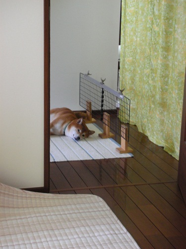 涼しい